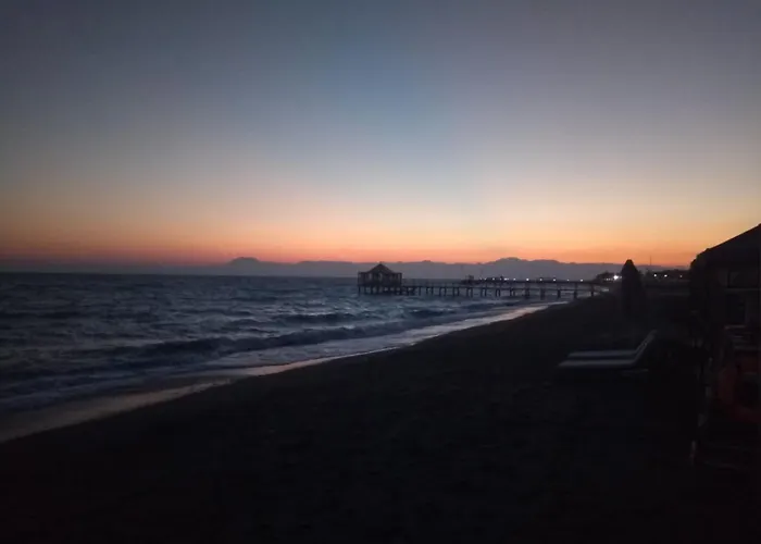 Living Dream Relax